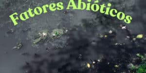 Entenda o que são fatores abióticos e como elementos climáticos, químicos e físicos impactam diretamente o tratamento de esgoto nas cidades.