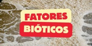 Entenda como fatores bióticos como predação, competição e mutualismo influenciam o tratamento de esgoto nas cidades e otimizam as ETEs.