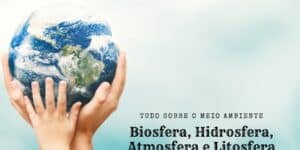 Entenda o meio ambiente: biosfera, hidrosfera, atmosfera e litosfera. Conheça a importância, funções e preservação dessas esferas vitais.
